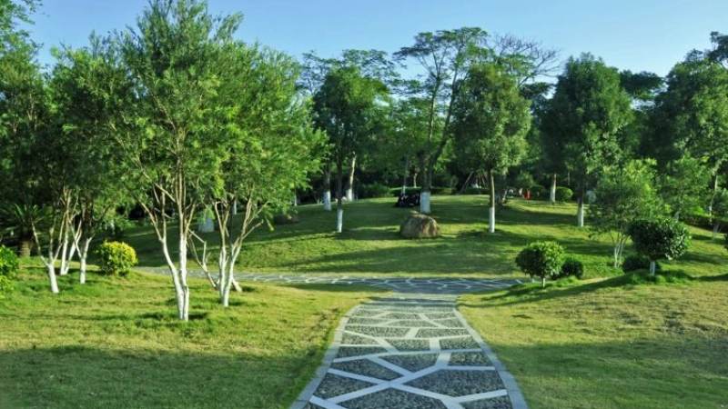 s16瑞士轮冷门热点配图